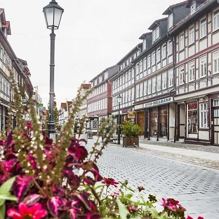 Apartment Wellness *